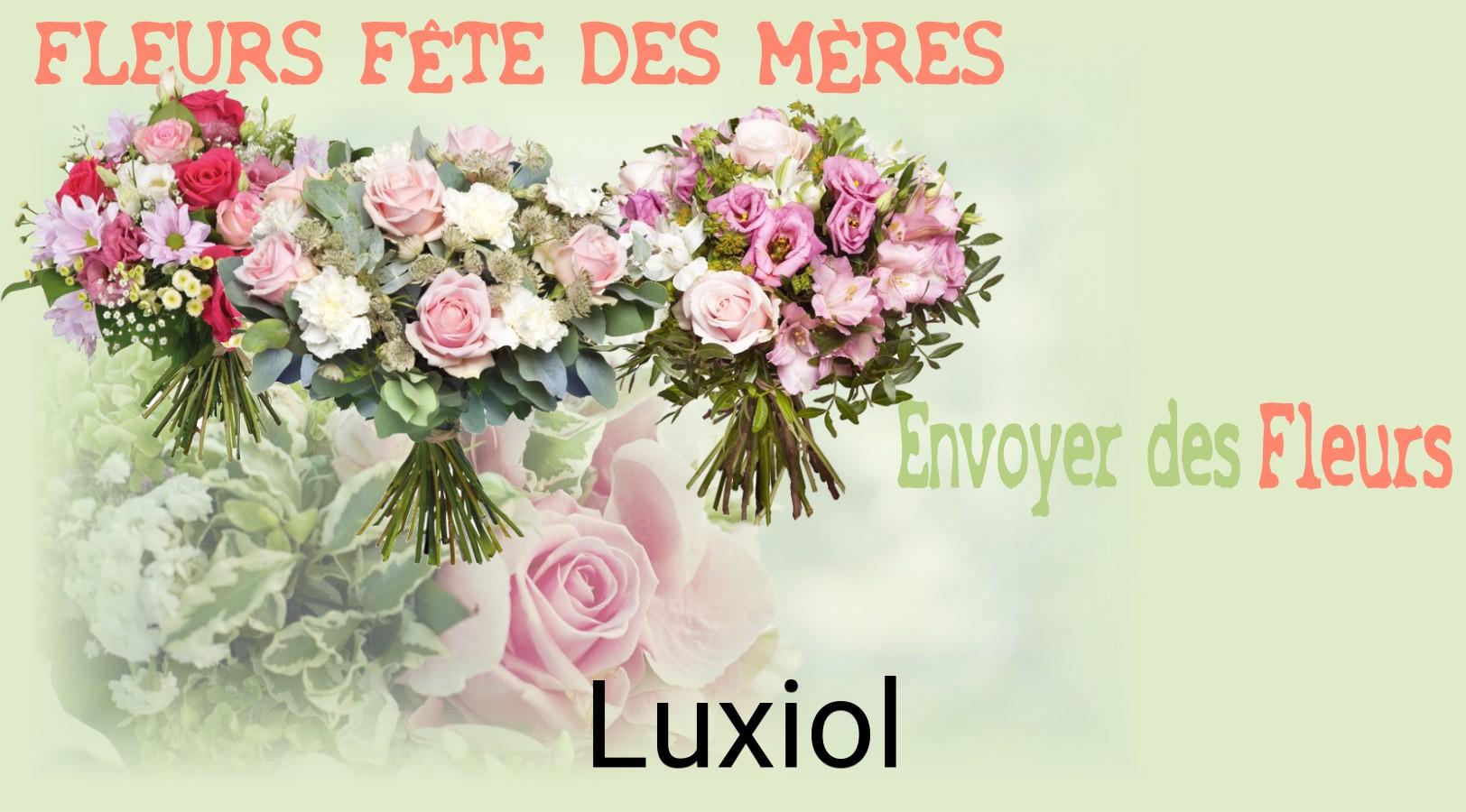 Bouquet de Fête des Mères livré à Luxiol